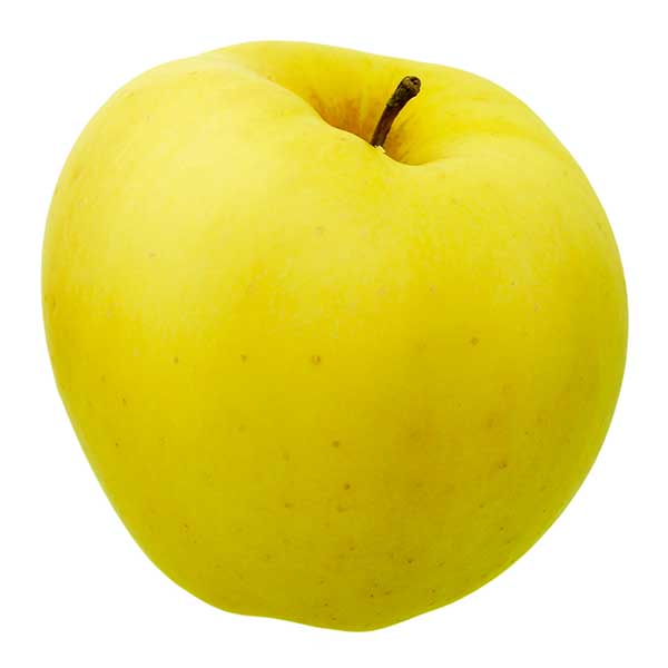 APGOLH