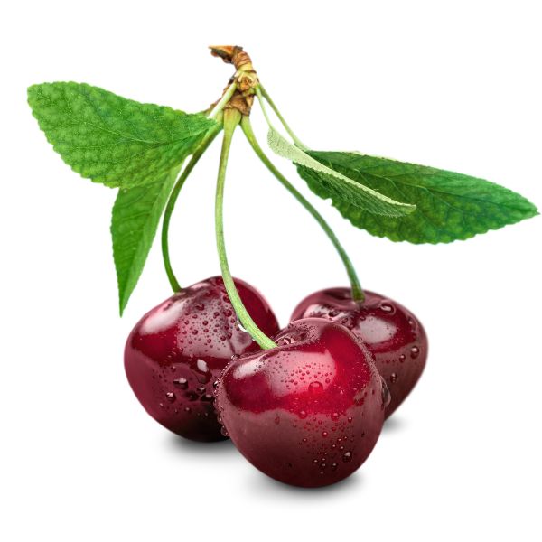 CHR