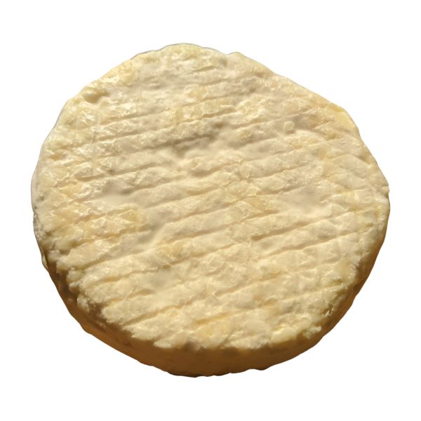 CZFG