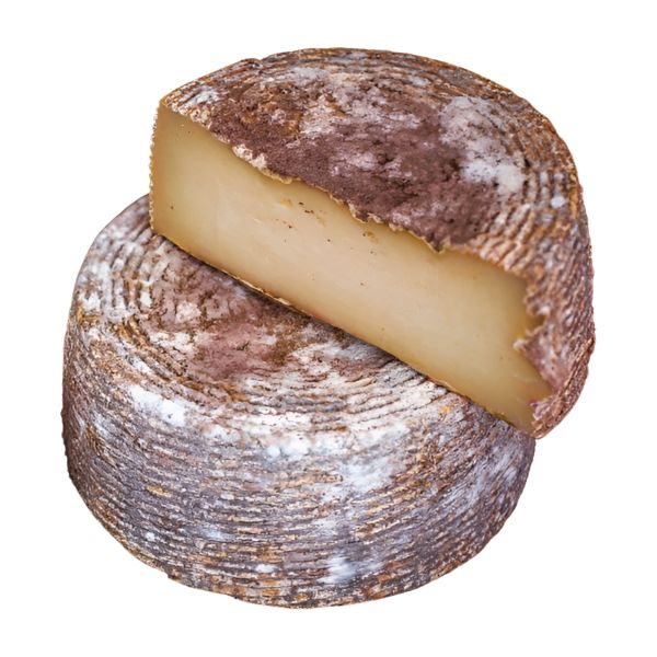 CZGOGA
