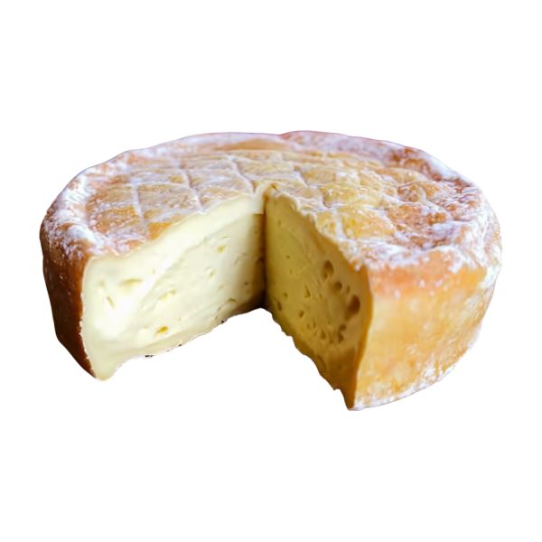 CZOMA