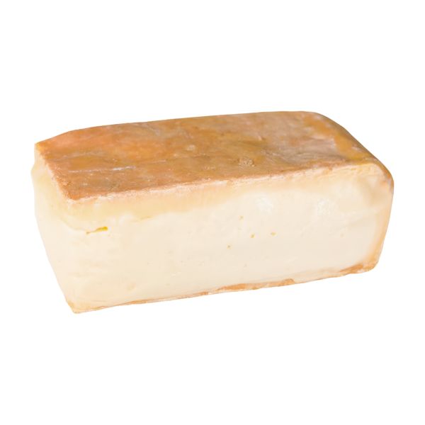 CZTAL