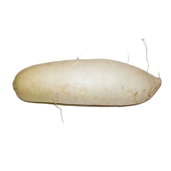 DAIOR