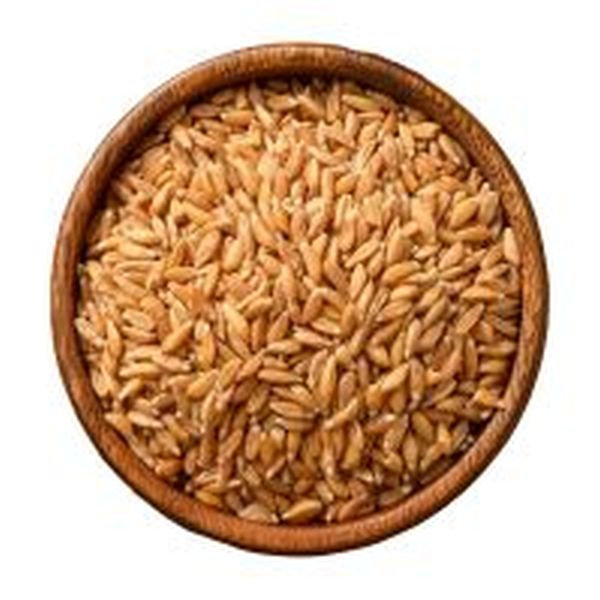 GRFARR4