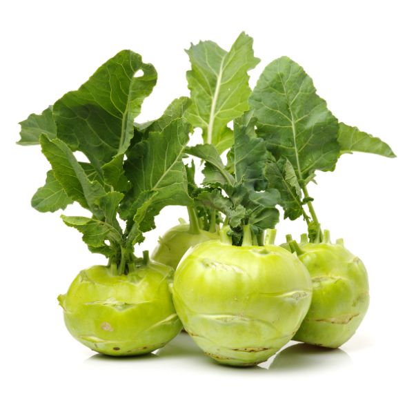 KORAB