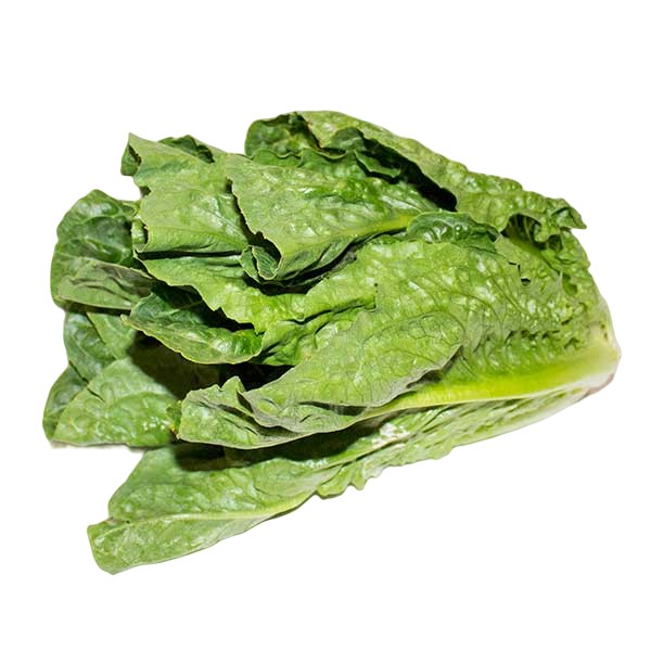 LTRLO