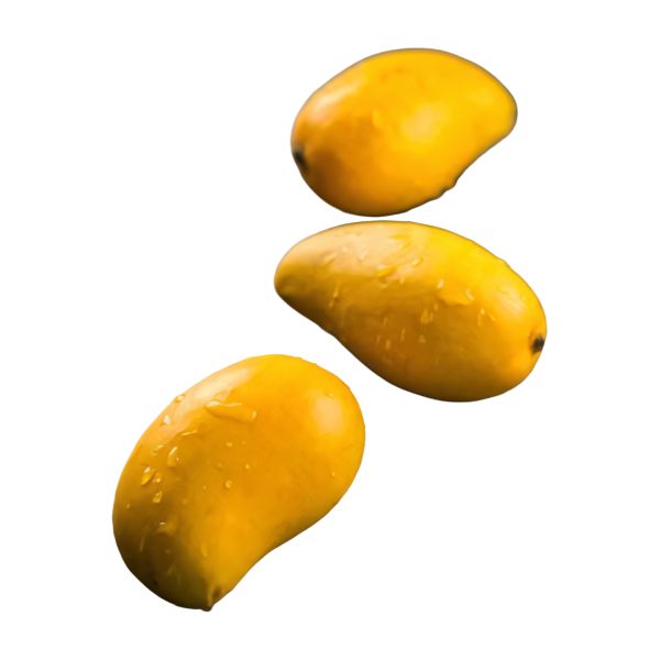 MANCA