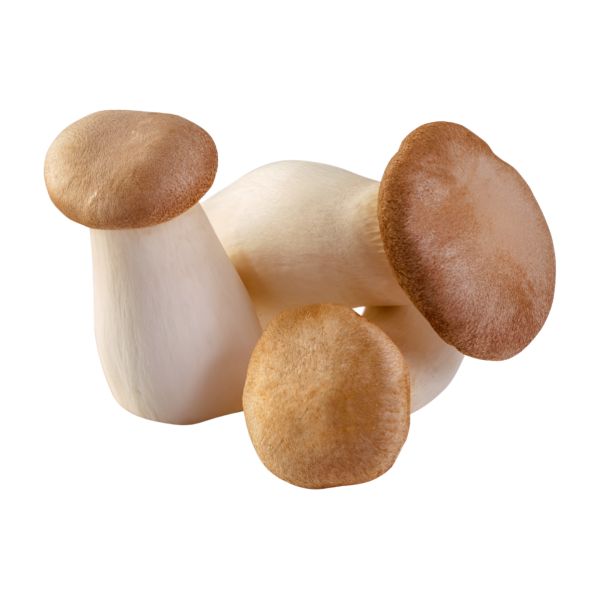 MUOYKOL