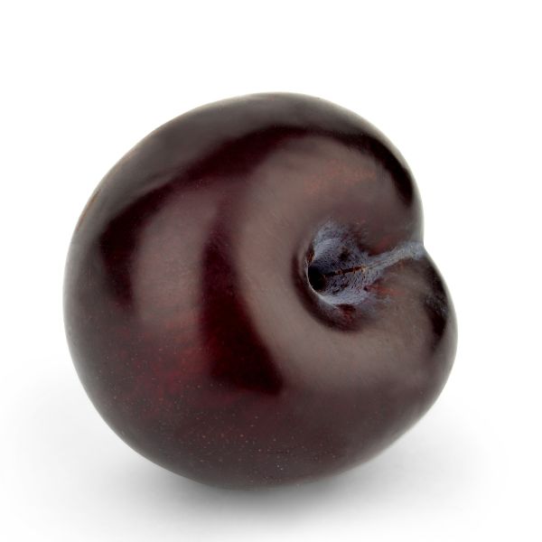 PLX