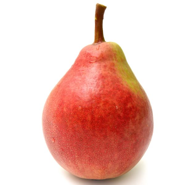 PRREDX