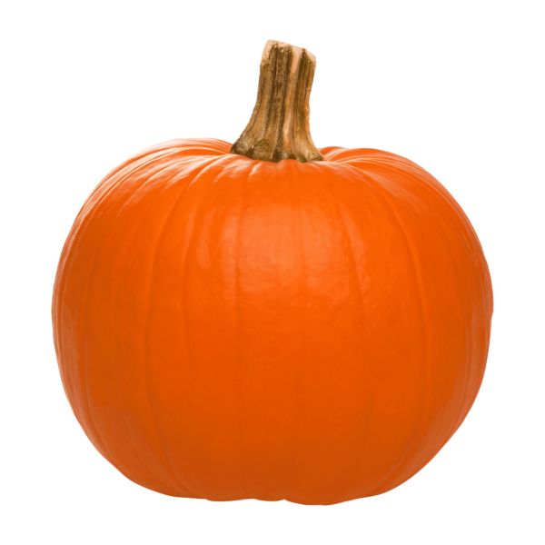 PUMLG