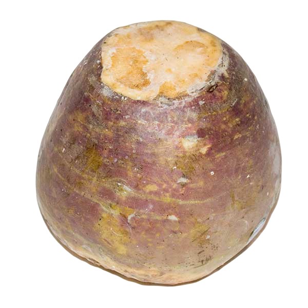 TUR