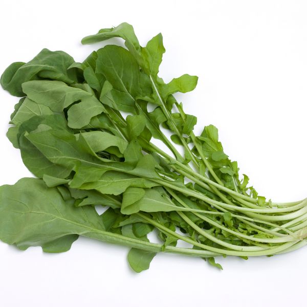 ZLTABO