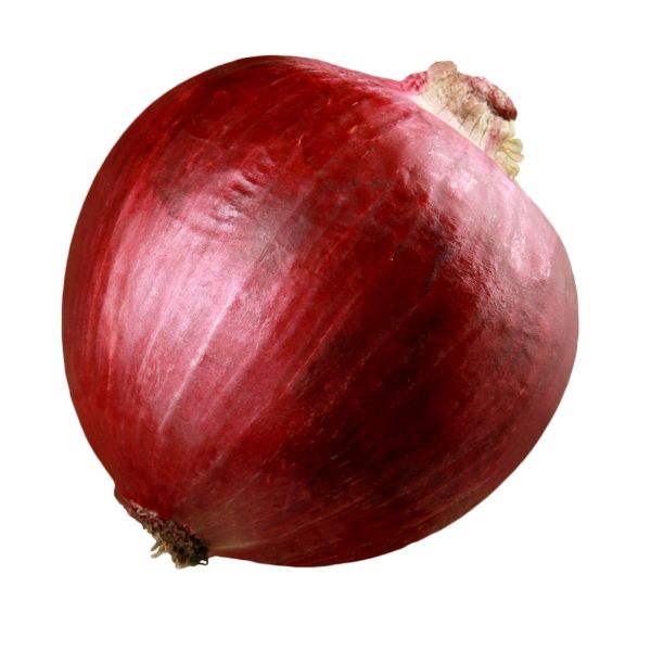 ZONR